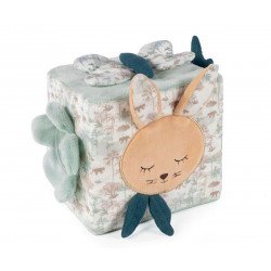 Cubo Actividades Serengueti