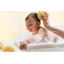 Esponja Natural Bellini