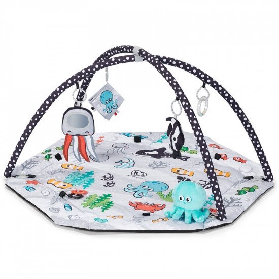 Gimnasio Sea Land con Bolas Gimnasio Sea Land con Bolas