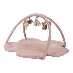 Gimnasio Actividades Fairy Garden Gimnasio Actividades Fairy Garden