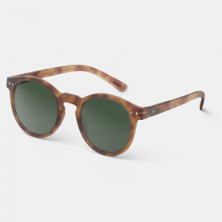 Gafas de Sol Adulto M Havane