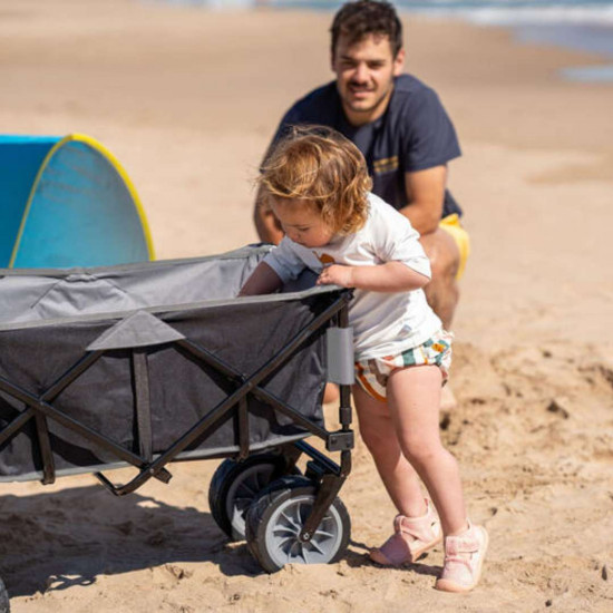 Carrito Plegable Multifuncional Playa